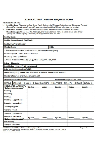 FREE 31 Therapy Forms In PDF MS Word XLS
