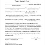 FREE 33 Basic Consent Forms In PDF MS Word Excel