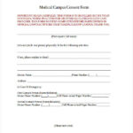 FREE 33 Consent Forms In MS Word