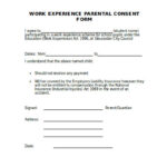 FREE 43 Sample Parental Consent Forms In PDF Ms Word