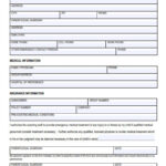 FREE 51 Athlete Forms In PDF MS Word