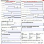 FREE 51 Athlete Forms In PDF MS Word