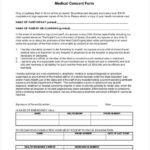 FREE 8 Medical Consent Sample Forms In PDF MS Word Excel