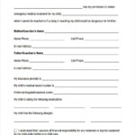 FREE 8 Sample Emergency Consent Forms In PDF Ms Word