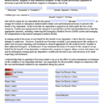 Free Grandparent Medical Consent Form PDF Word