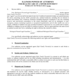 Free Illinois Power Of Attorney For Minor Child Form PDF Word EForms