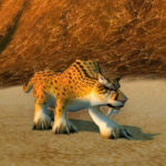 Glyph Of The Cheetah Item World Of Warcraft