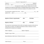 Grandparents Medical Consent Form Minor Child EForms Free