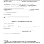 Guardianship Letter Sample And Legal Letter Templates Child Travel