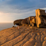 Guide To Kangaroo Island Tourism Australia