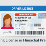 Himachal Pradesh Driving License How To Apply For DL In HP