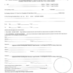 Minor Child Travel Consent Form 2 Free Templates In PDF Word Excel