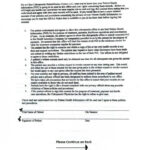 Patient Informed Consent Form Template SampleTemplatess