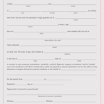 Printable Medical Consent Form For Minor Traveling Without Parents