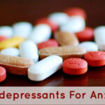 Safest SSRI Antidepressants For Anxiety In Children Is Prozac