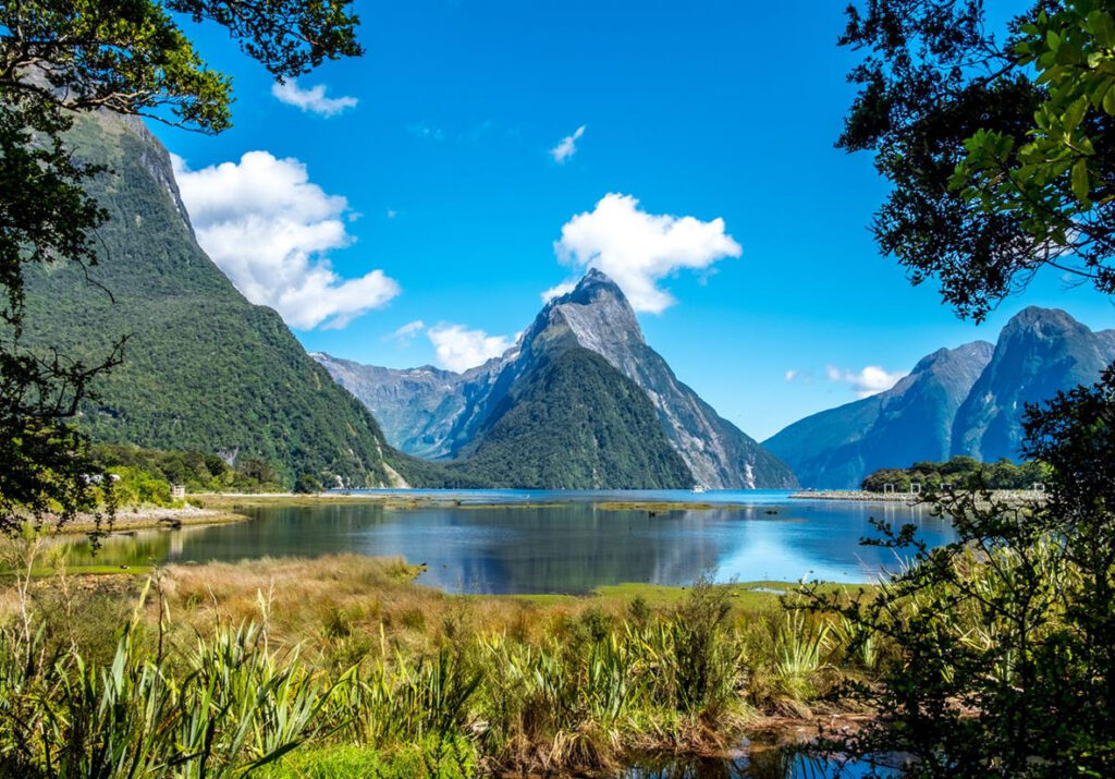 Sleeping In Milford Sound Will Change Your Life Flights Hotels 