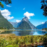 Sleeping In Milford Sound Will Change Your Life Flights Hotels