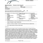 Top 6 Massage Consent Form Templates Free To Download In PDF Format
