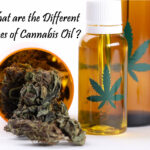 What Are The Different Types Of Cannabis Oil Benefits And Recommended