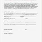 14 Outstanding Free Child Travel Consent Form Template That Prove Your