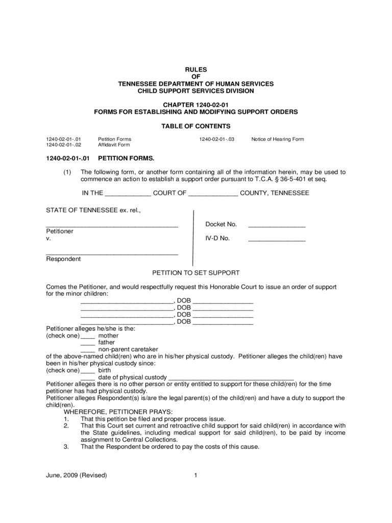 2020 Child Custody Form Fillable Printable PDF Forms Handypdf