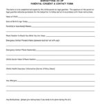 Babysitter Medical Consent Form Template Consent Forms Babysitter