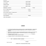 Child Care Emergency Consent Form Printable Pdf Download