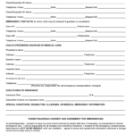 Child Care Emergency Contact Form 2 Free Templates In PDF Word