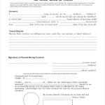 Child Travel Consent Form Template Best Of Sample Consent Form 8