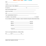 Consent For Minor Children To Travel Printable Pdf Download