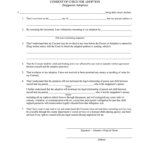 Consent To Allow Adoption Of Child Nc Fill Online Printable