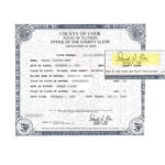 County Of Cook State Of Illinois Birth Certificate Signed By David D