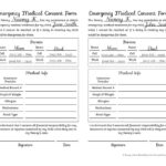 Emergency Medical Consent Form For Nannies Etsy