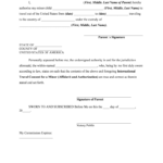 Fill Edit And Print International Travel Consent For A Minor Form