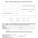 Fillable Online Form For Minor Children Traveling Without Birth Parents