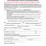 FREE 10 Minor Travel Consent Forms In PDF MS Word