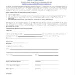FREE 11 Sample Travel Consent Forms In PDF MS Word Excel