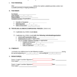 Free Minor Child Travel Consent Form PDF Word EForms