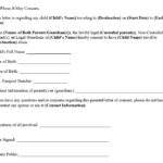 Letter Of Consent To Travel With One Parent Template Samples