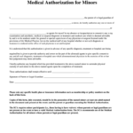 Medical Authorization For Minors 2004 Fill And Sign Printable