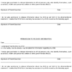 Nevada Permission To Release Information Download Printable PDF