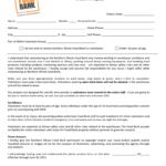 NIFB Volunteer Consent Form 2013 2021 Fill And Sign Printable