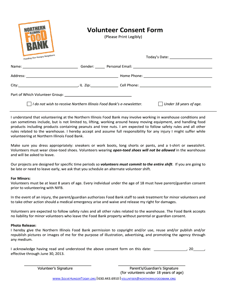 NIFB Volunteer Consent Form 2013 2021 Fill And Sign Printable 