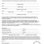 Permission For Minor To Visit Out Of State Relitive Fill Out And Sign