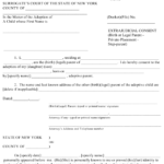Printable Adoption Papers New York The Y Guide