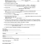 Travel Consent For Minor Child Template Printable Pdf Download