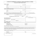2019 Tattoo Consent Form Fillable Printable Pdf And Forms CLOUD HOT GIRL