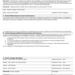 2022 Child Medical Consent Form Fillable Printable PDF Forms