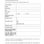 81 Consent Form Format