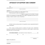 Affidavit Of Consent I Fill Out Sign Online DocHub